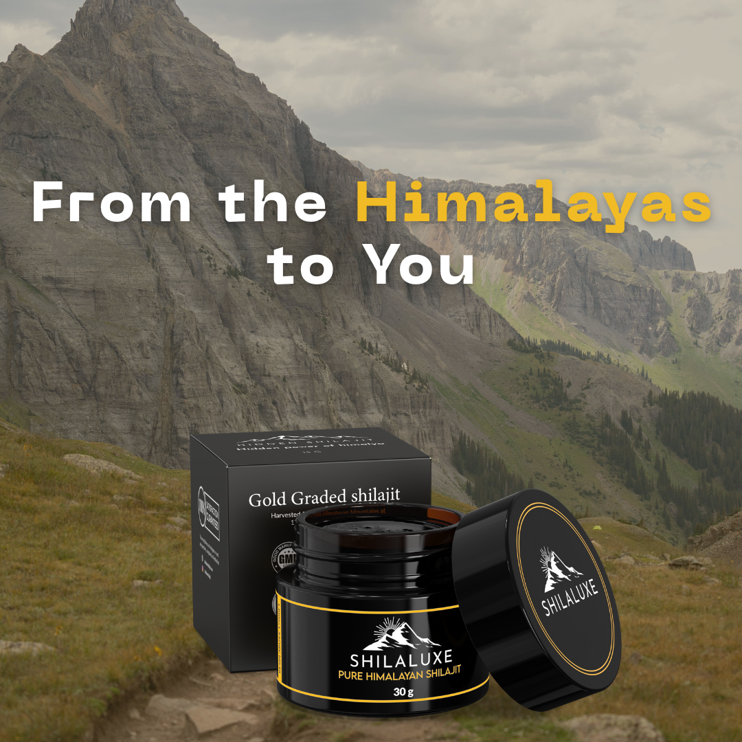 Shilaluxe – Pure Gold-graded Himalayan Shilajit